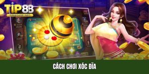 Cách chơi xóc đĩa