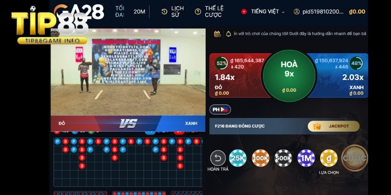 Giao diện web chiếu đá gà